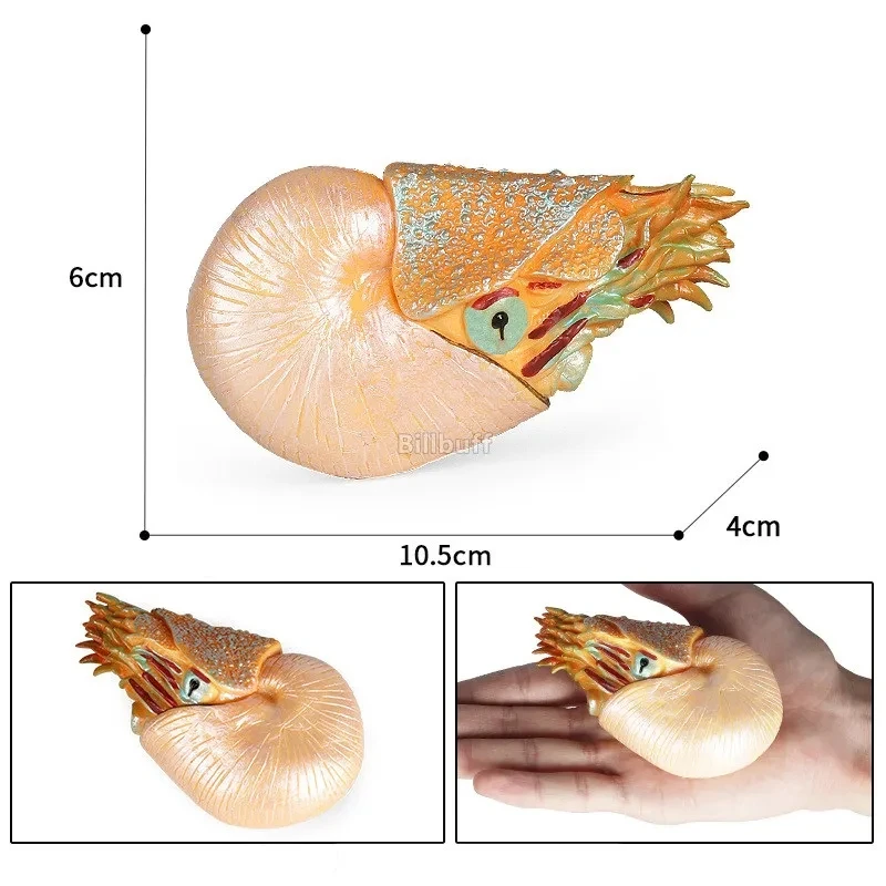 Montessori Marine Sea Life Jellyfish Octopus Figurines Figures Prehistoric Creature Animals Models Educational Toy for Kids Gift