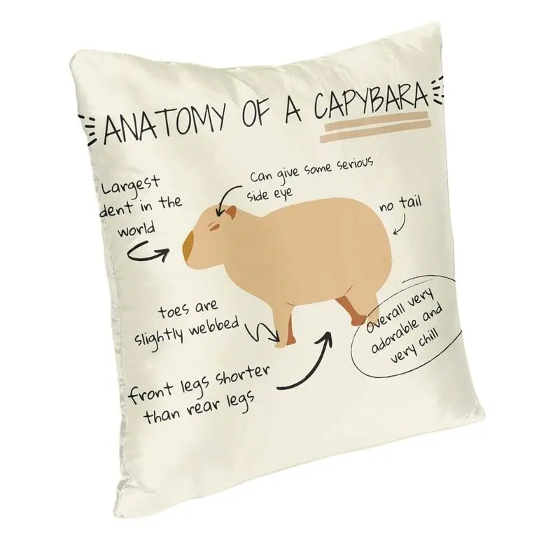 Anatomy Of A Capybara Square Pillow Cover Home Decorative Cushion Cover Throw Pillow for Sofa Double-sided Printing