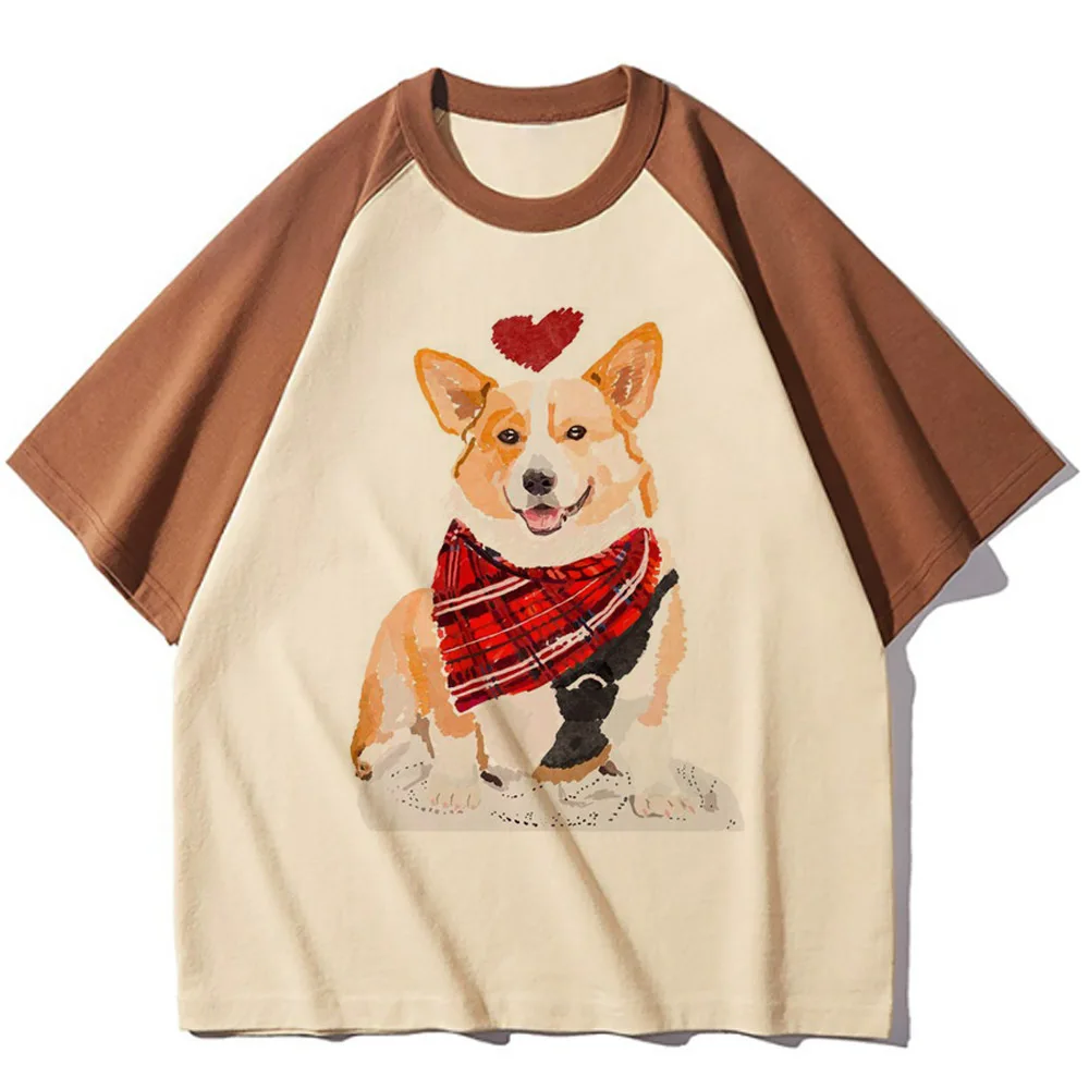 corgi