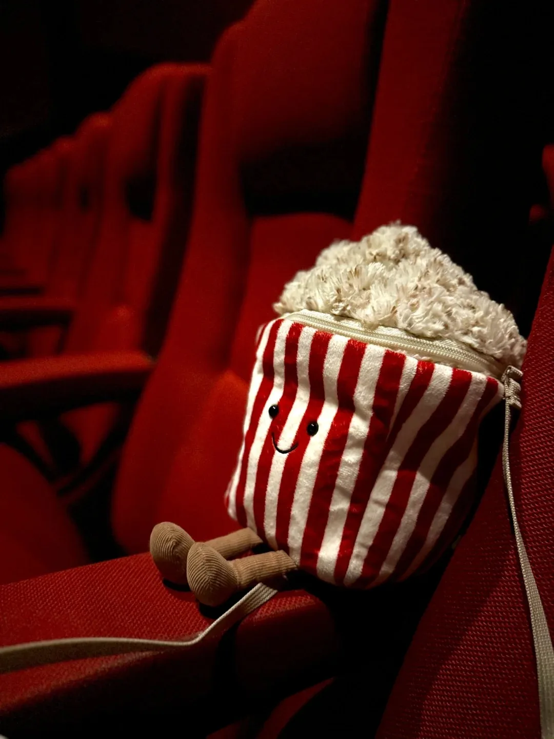 

New Products In Stock, Fun Popcorn Bags For Travel, Crossbody Bags, Backpacks As Surprise Holiday Gifts To Give To Friends