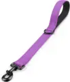 Purple-M