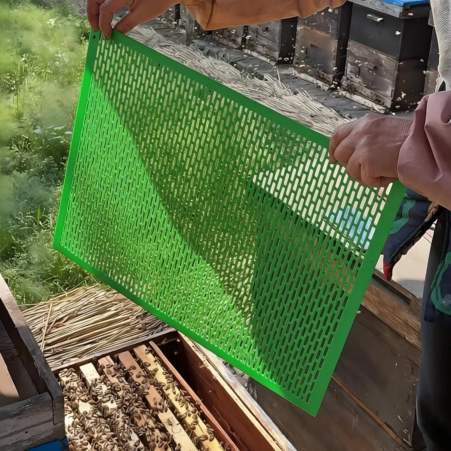 Plastic Queen Excluder for 10 frame Langstroth Beehive 510*410mm Beekeeping Supplies