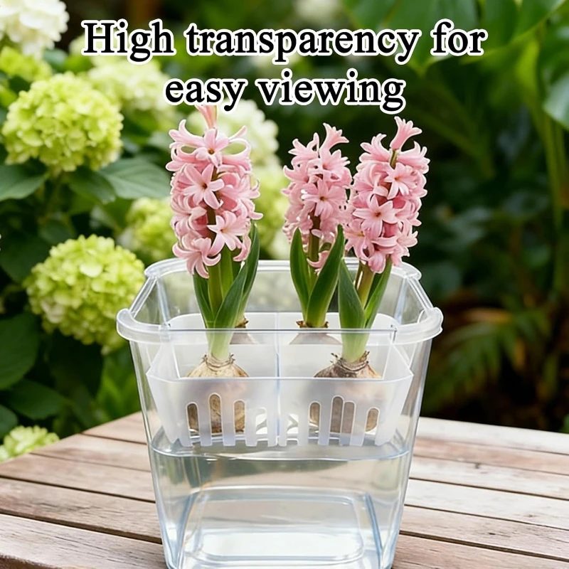 Hydroponic Containers With Breathable Support Basket Tulip Seed Hydroponic Flowerpot 4 Holes Soilless Flower Pot Home Decoration