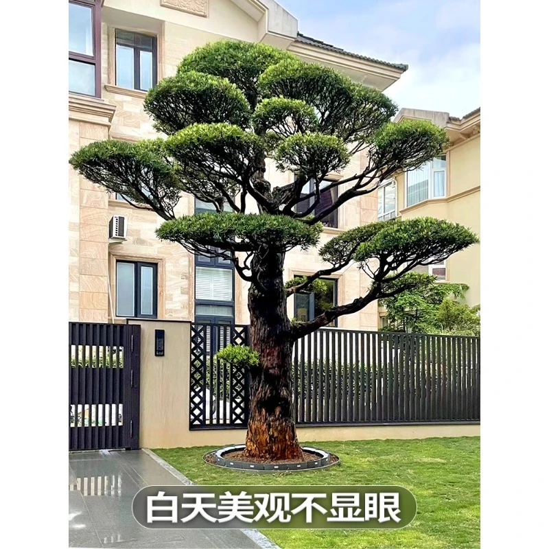 Lampada da giardino solare da esterno