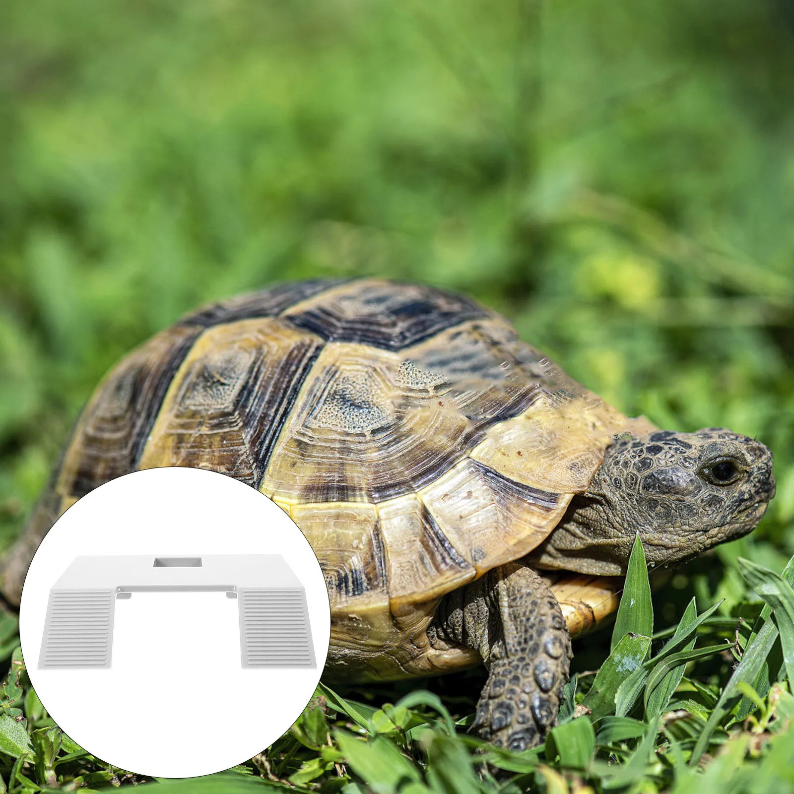 

Turtle Basking Platform Floating Climbing Ramp Durable Practical Turtle Tank Decoration Stand Reptile Basking Platform