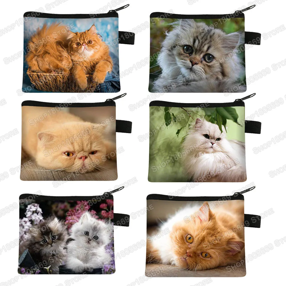 Monedero con estampado de gato persa para mujer, bolsa de almacenamiento de dinero con cremallera, bonito Animal, patrón de Mascota, identificación, tarjeta de crédito, auriculares