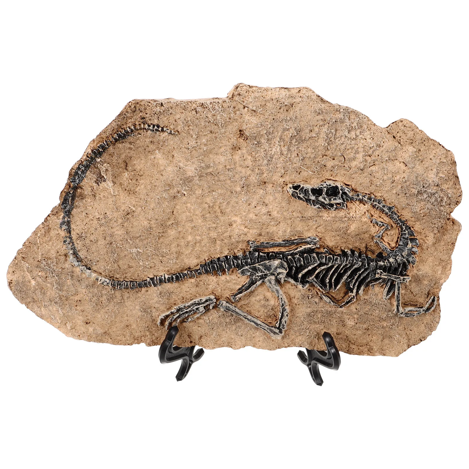 

Resin Simulation Dinosaur Craft Ornament Desktop Mini Dinosaur Specimen Decorative Learning Specimen