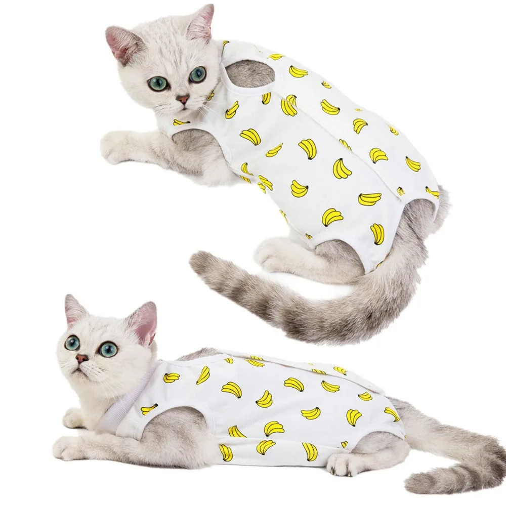 Roupa da esterilização do gato, Vestido cirúrgico pós-parto, Anti-lambendo desmame roupas, quatro pernas pijama