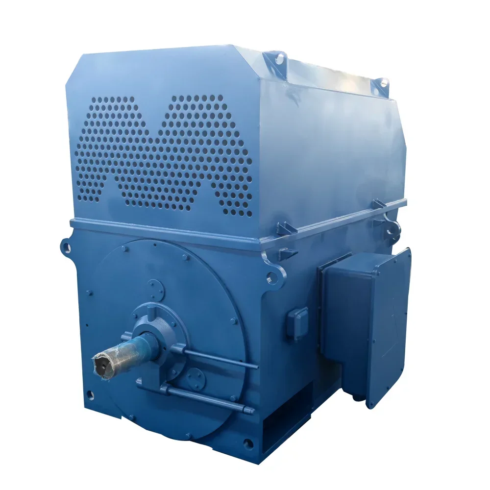 Customized 6.6KV 1250kW High Voltage Motor AC Electric Motor Three-phase Asynchronous Motor