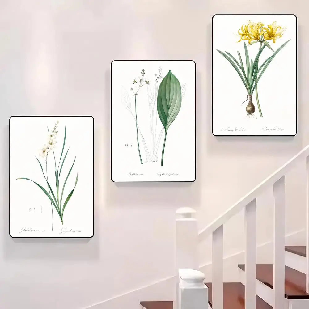 

Vintage Botanical Flower Poster Sticky Wall Waterproof Home Living Room Bedroom Bar Aesthetic Decoration Perfect Gift