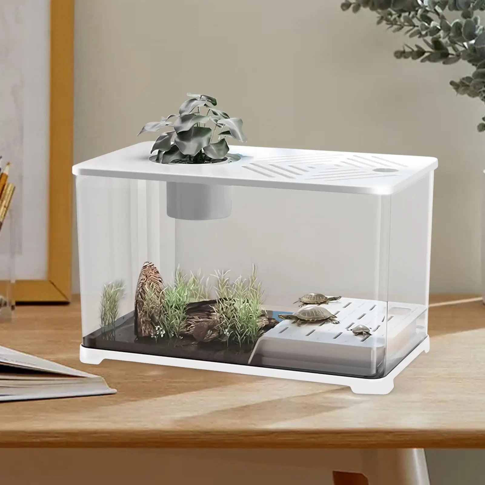 Betta Fish Tank Desktop Large Fish Tank Aquarium Modern Container With Turtle Resting Area Home Decorations For Betta Shrimp - Image 2