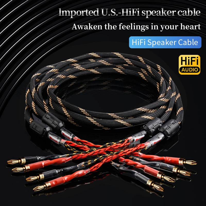 YYAUDlO One Pair Of HlFl Speaker Cables High-end Occ SpeakerCables For Hi-fi Systems And Banana Plug Speaker Cables