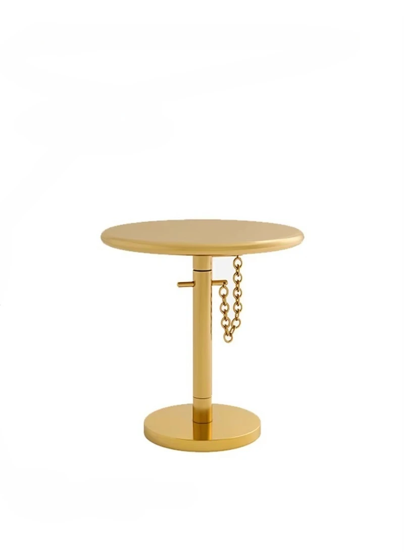 

Nordic modern style stainless steel metal coffee table high-end light luxury designer villa furniture living room home
