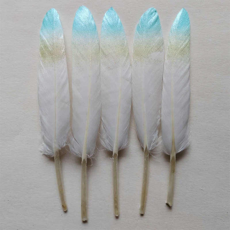 20 قطعة 10-15 سنتيمتر ريش أوزة مطلي ، ريش بطة بلونين ، زينة الزفاف ، بلوماس ، 5 ألوان متاحة