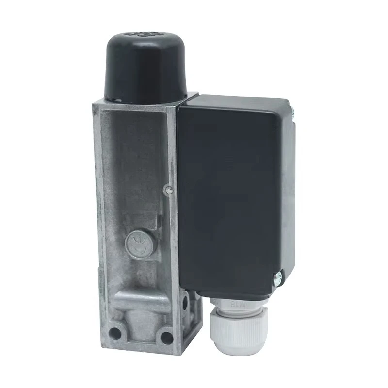 Ordinary Pressure S…