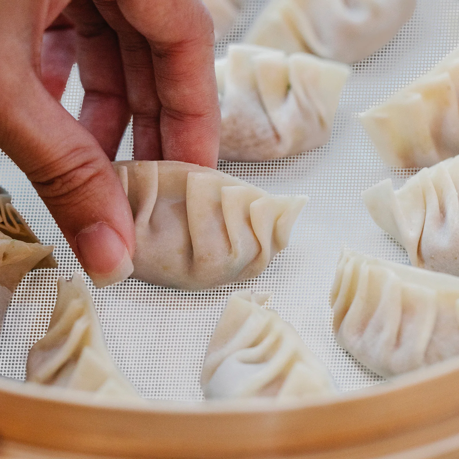 

10 Pcs Silicone Steamer Mat Dehydrator Accessories Dehydration Pad Dehydrated Food Grade Mats Dumpling Liners