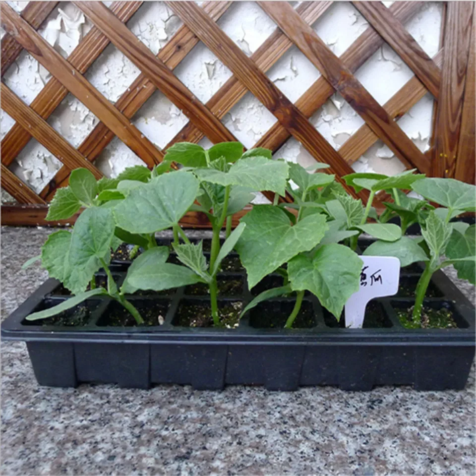 3pcs 24 Cells Seedling Starter Tray Extra Strength Seed Germination Plant Flower Pots Nursery Grow Box Garden