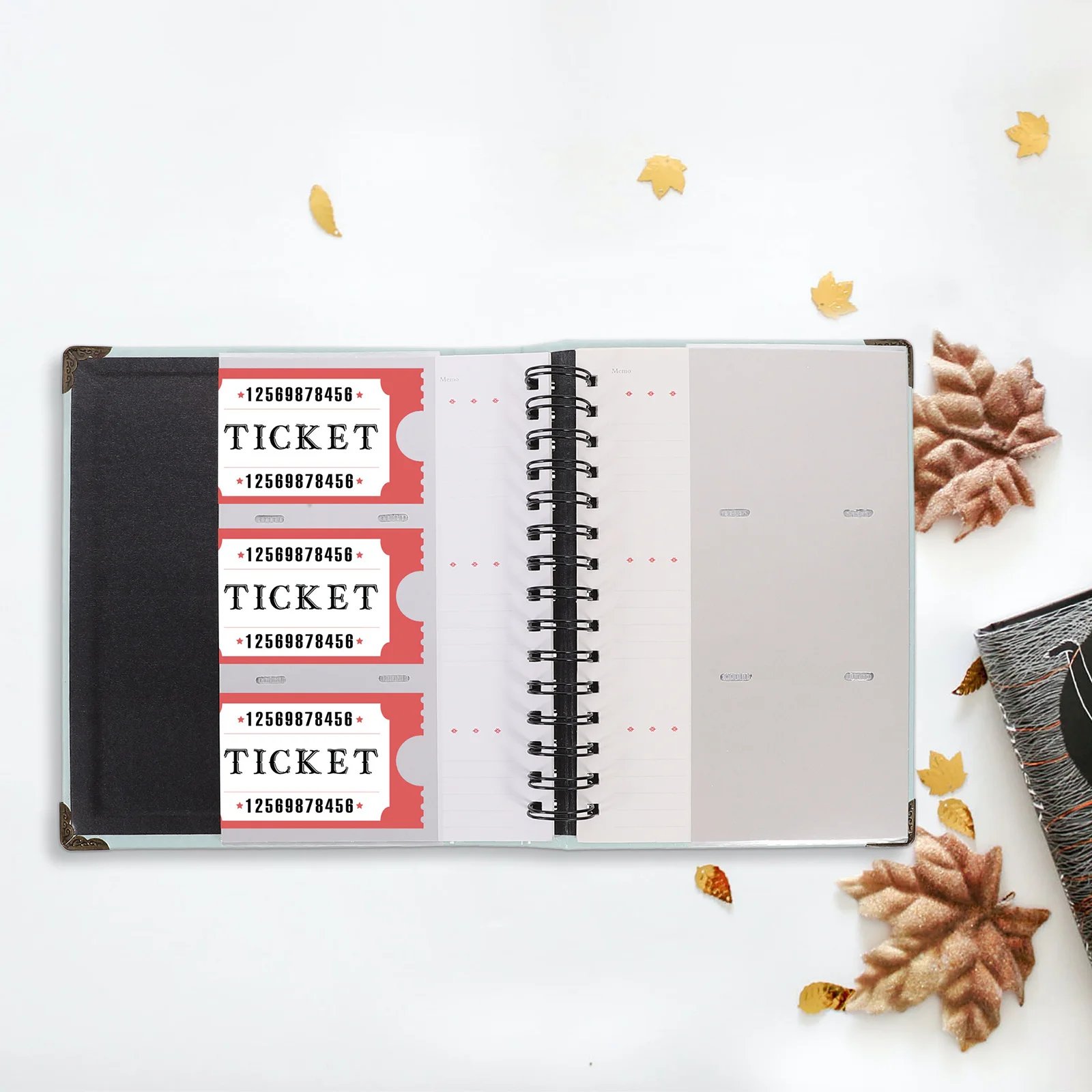 ألبوم تخزين التذاكر حامل تذكرة أوراق فضفاضة للحفلات الموسيقية مجموعة بطاقات السفر منظم صورة ديكور #4