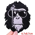 PE5538CT
