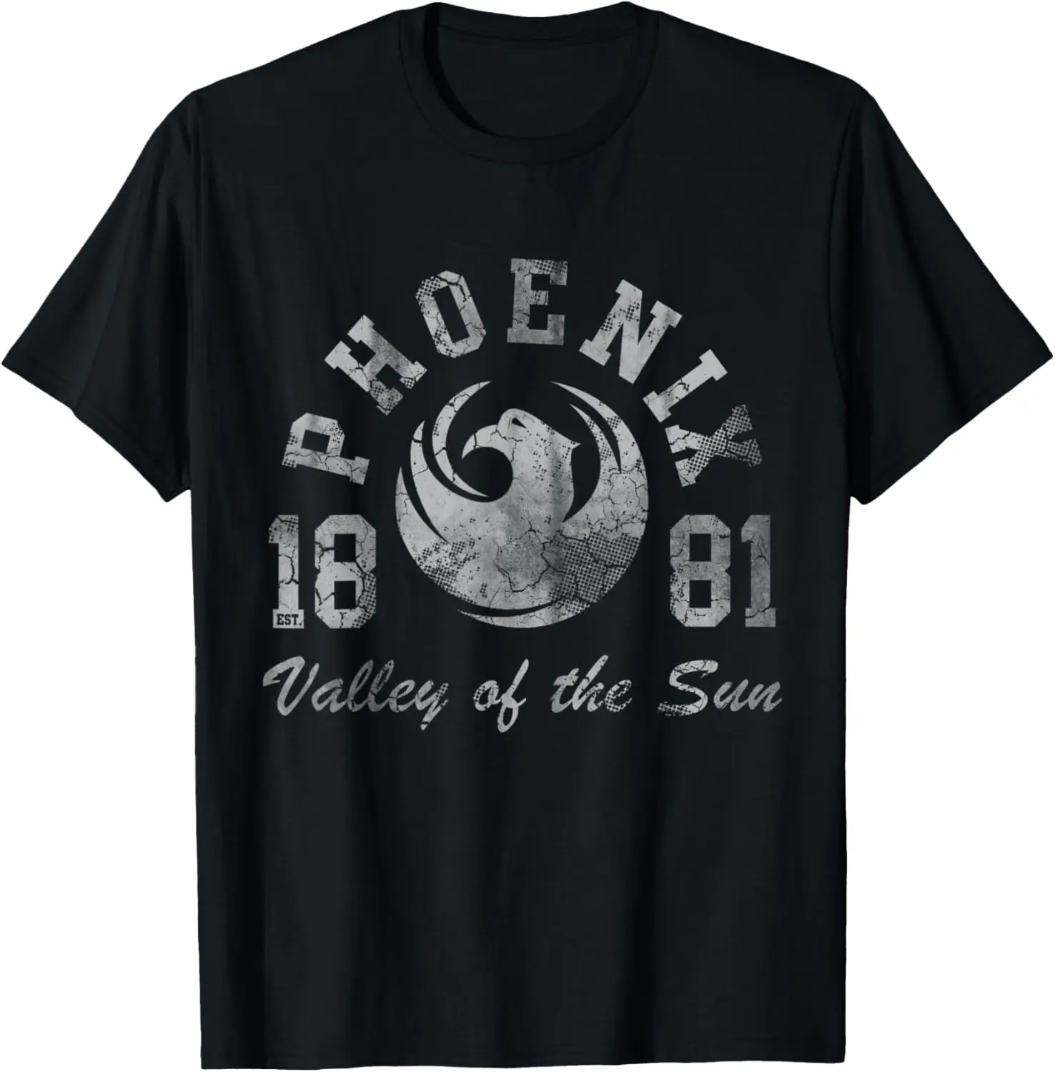 

Винтажная потертая футболка Феникса Аризоны Valley Of The Sun