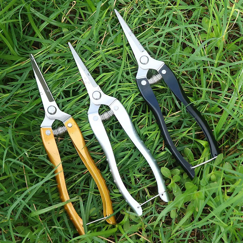 Pointed Pruning Shears Garden Fruit Picking Shears Flower Pruning Tool Stainless Steel Sawtooth Fruit Tree Rough Branch Shears