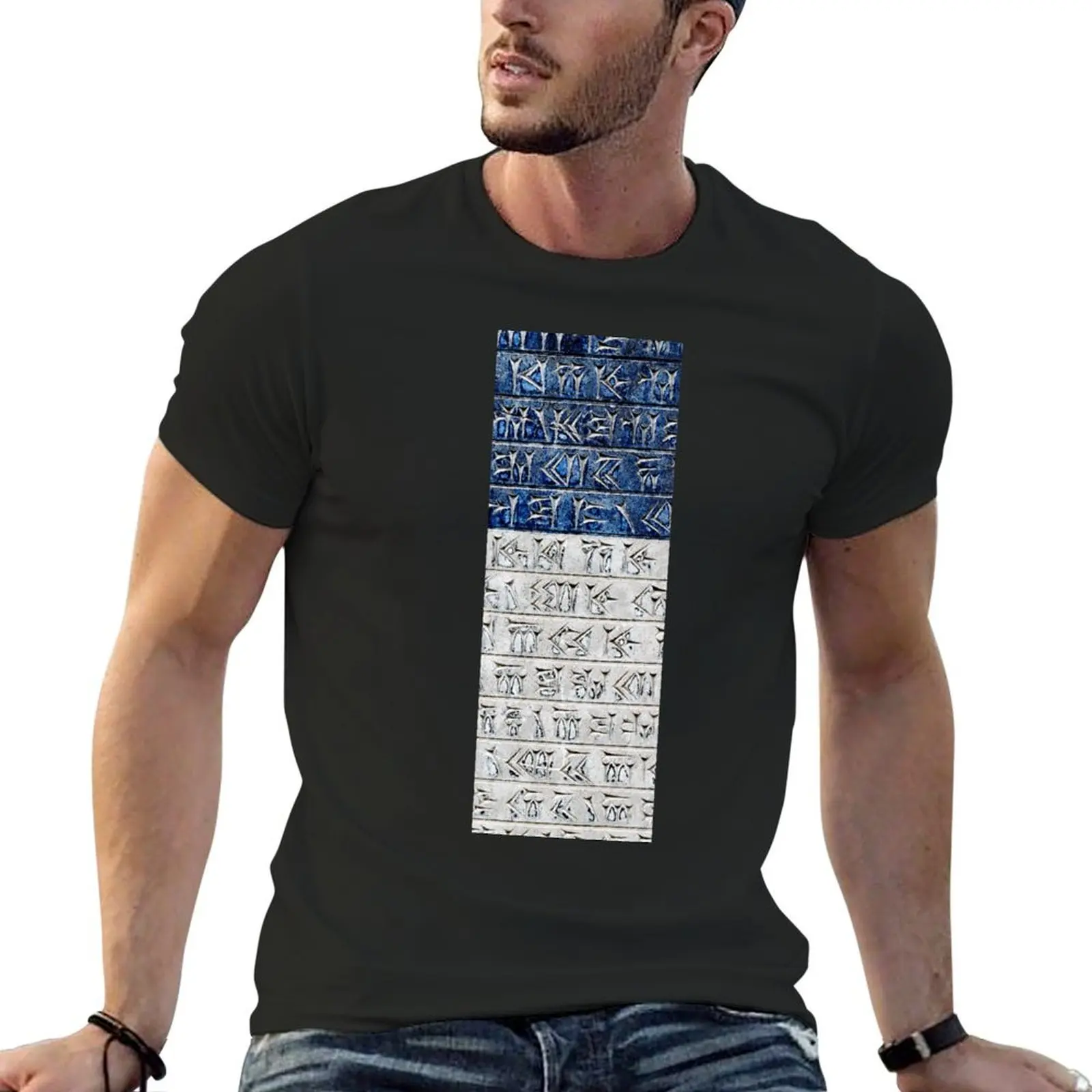 

Persian Cuneiform Inscription T-Shirt blanks cotton man t-shirts men t shirt