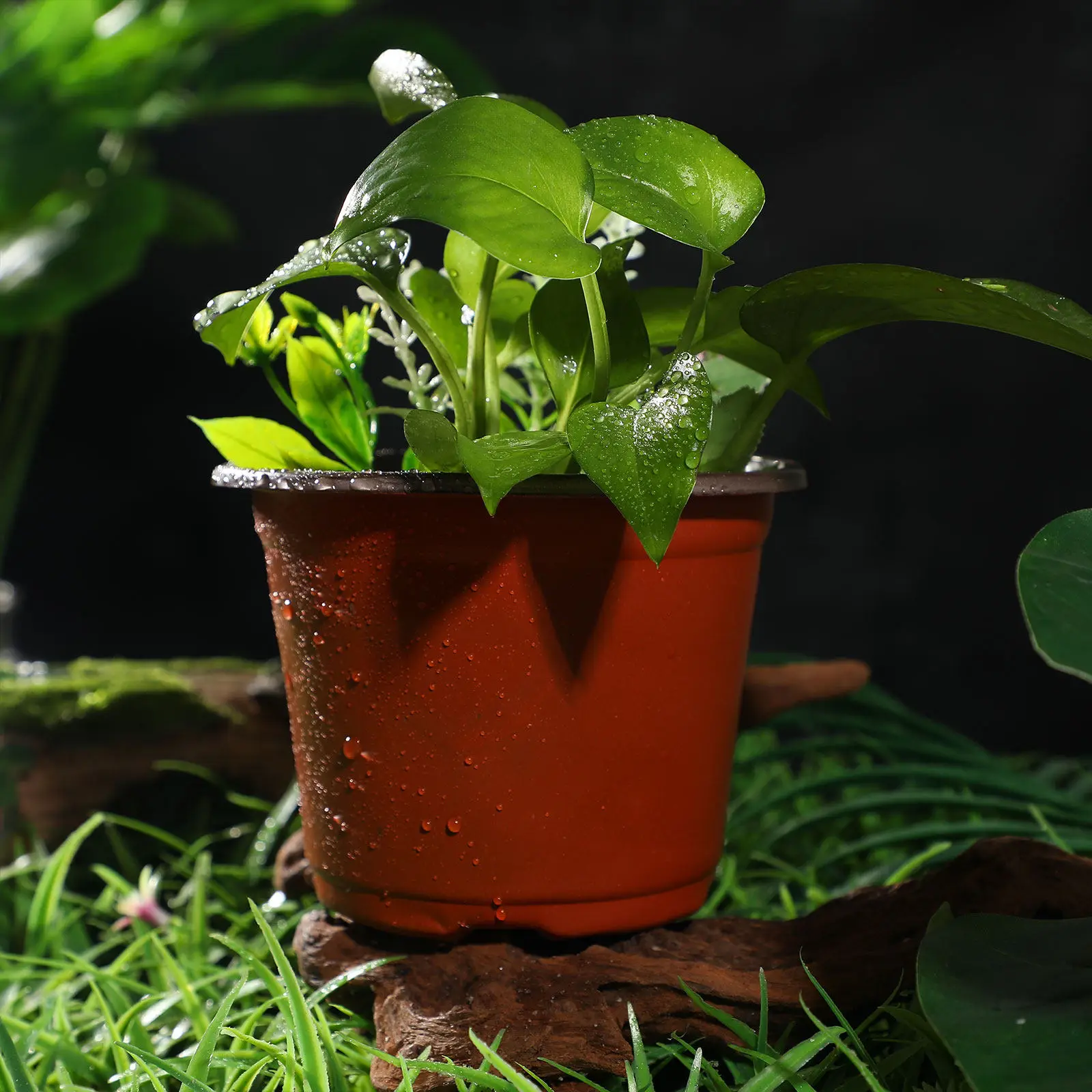 50Pcs Plastic Flower Pots for Succulents Herbs Seedlings Indoor Outdoor Nursery Breathable Drainable Plant Containers Starting