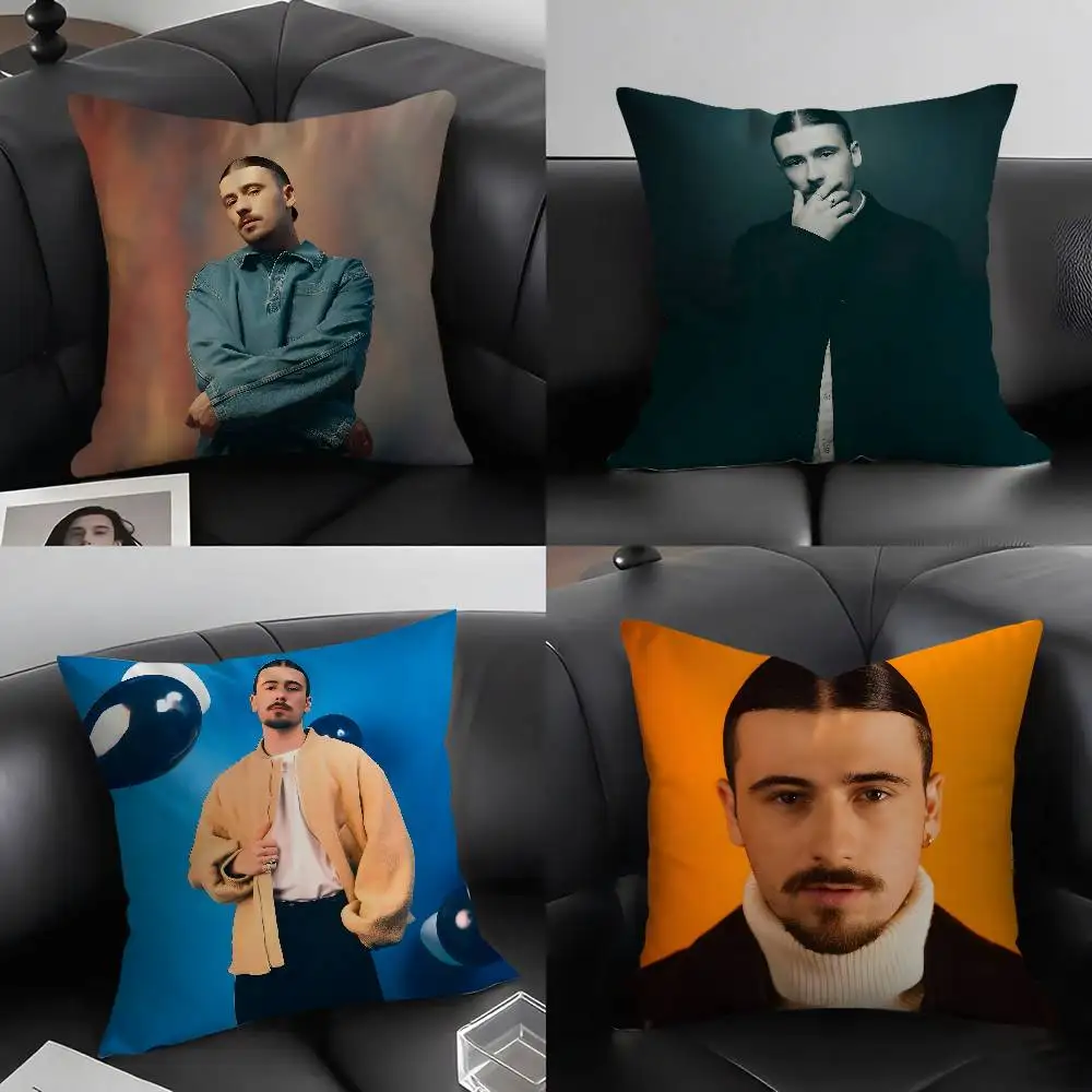 

Singer P-Pierre GarnierS Pillow Case Soft Plush Fabric Double Sided Print Decorative Home Living Room Gift Cushion Cover