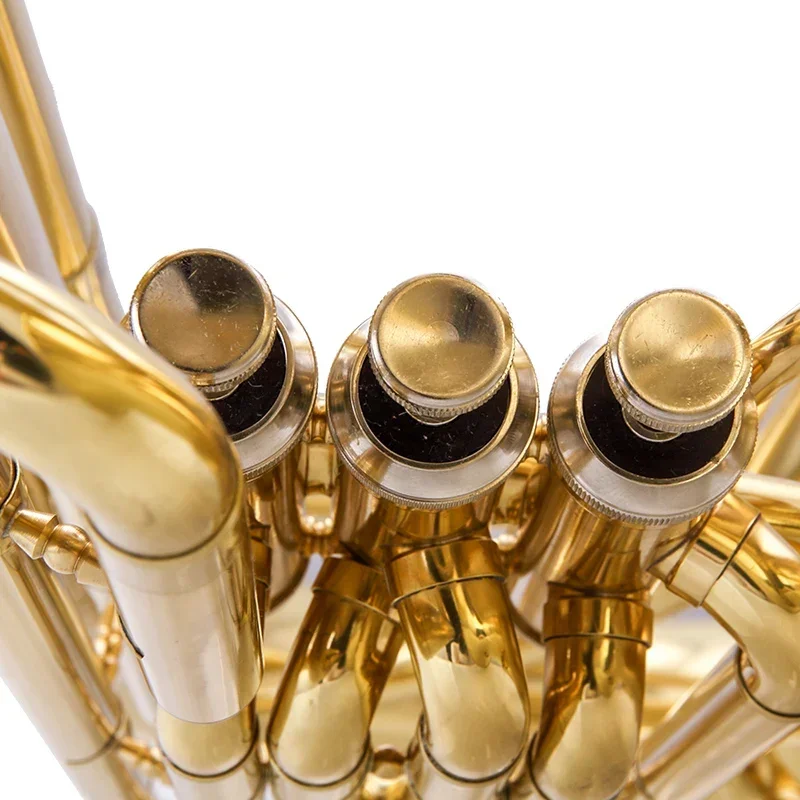 Goldlack-Tuba aus Kupfer-Zink-Legierung mit vertikalem Kolben-B-Ton-Tuba