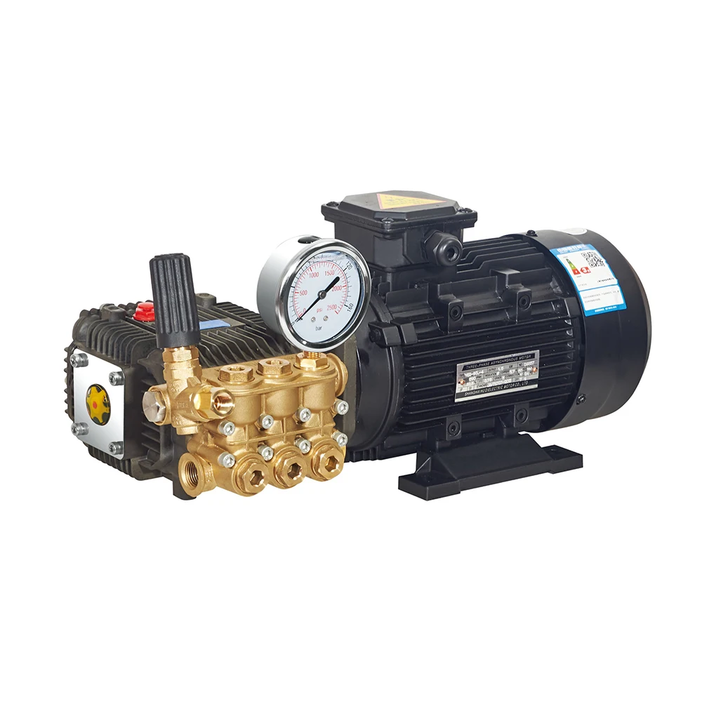 Sea water Triplex Plunger High Pressure Water Pump Electric Motor Cylinders 100 bar  316L stainless Brass pump head