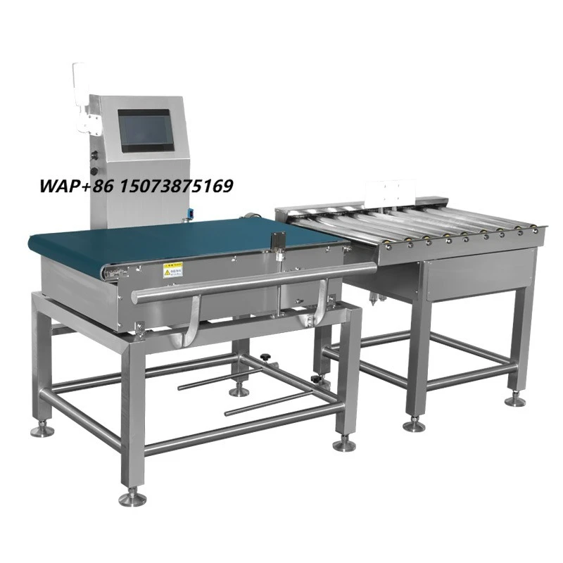 Industrial Metal Detector for Powder Food Processing  Pinpointer Detection Machine for Food Stuff