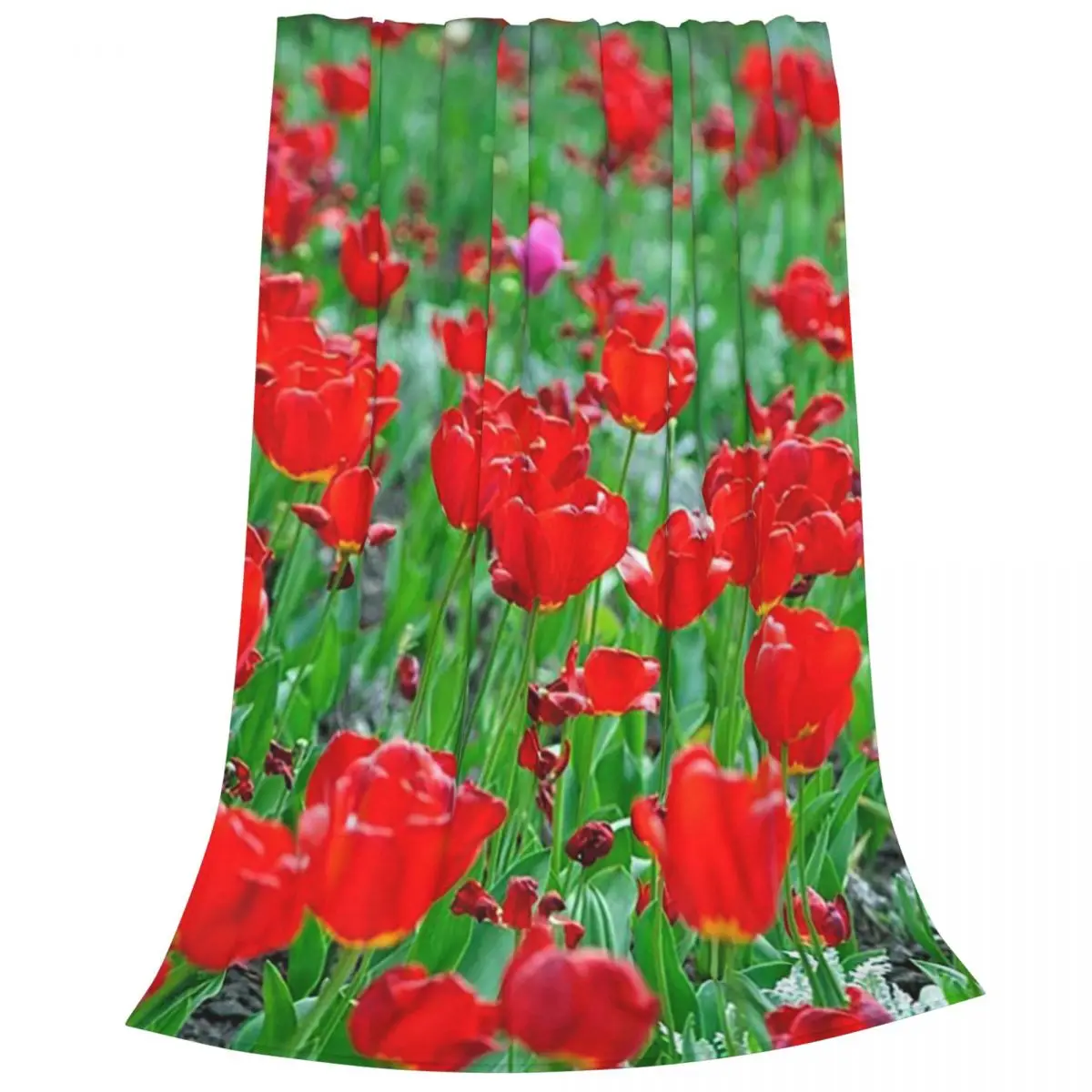 Tulips In Ukraine Blankets Flannel Super Soft Sofa Throw Blankets For Home Bedroom Travel Throws Bedspread Quilt