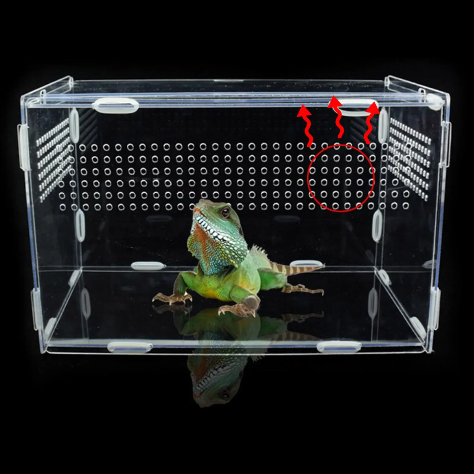 Reptile Breeding Box Acrylic Spider Lizard Scorpion Acrylic Transparent Insect Breathable Terrarium