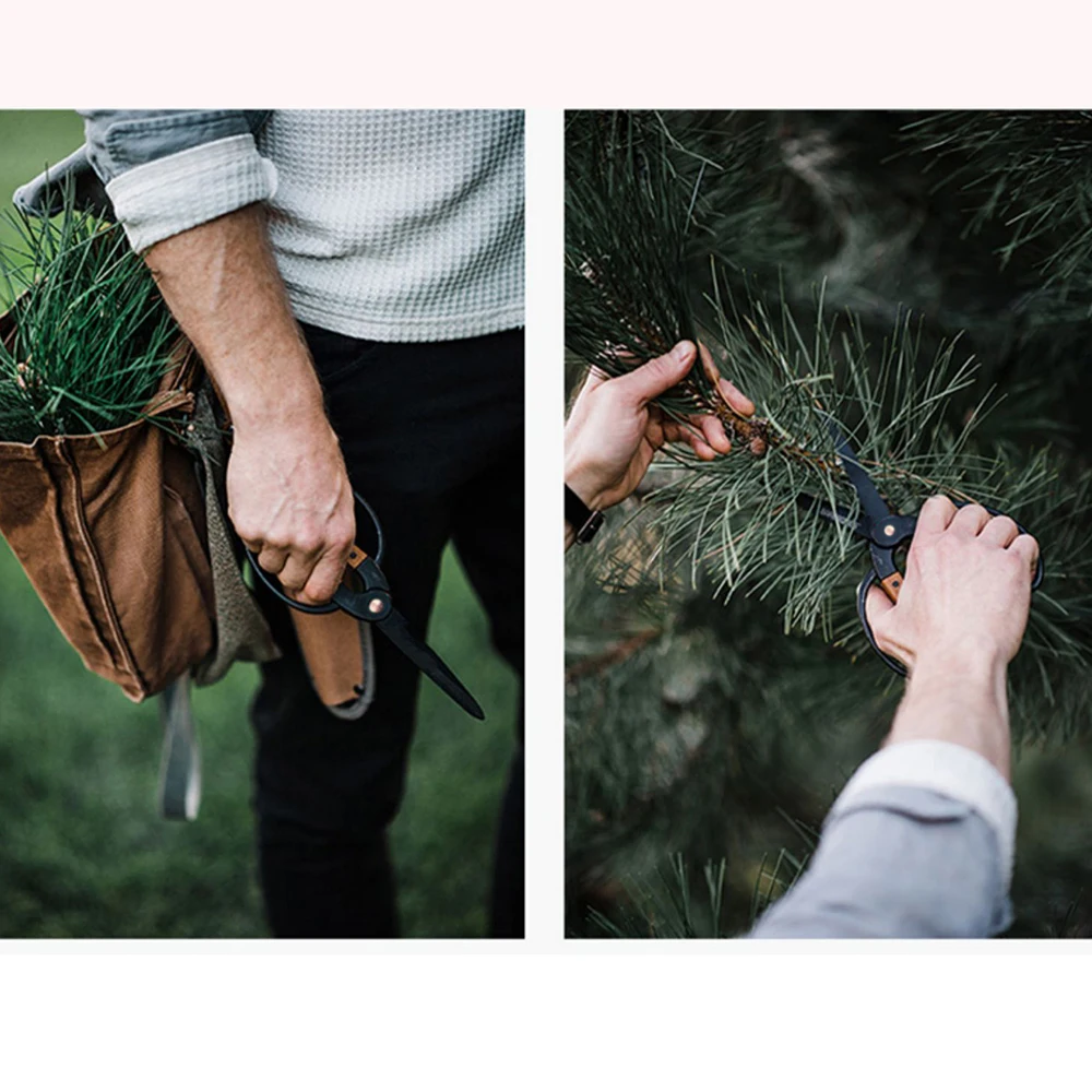 プロ品質の根の剪定はさみ、ステンレス鋼の盆栽ツール、家庭用庭の葉の花、手はさみ、1個