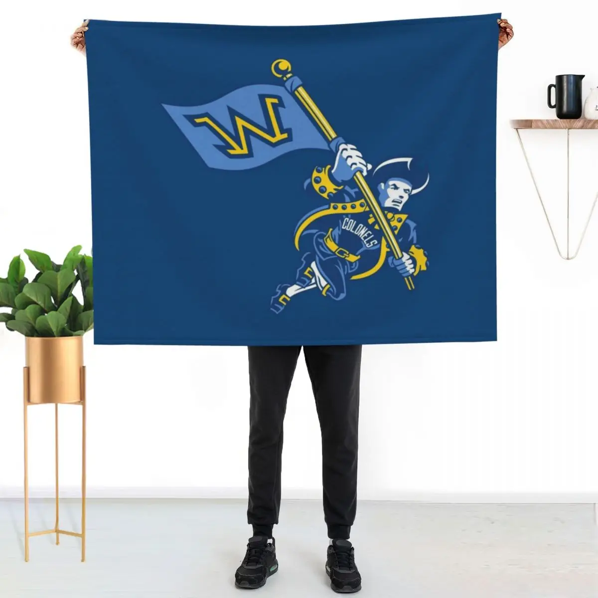 Wilkes University Throw Blanket Luxury Hairys Soft Plaid Sofa decorative funny gift Blankets