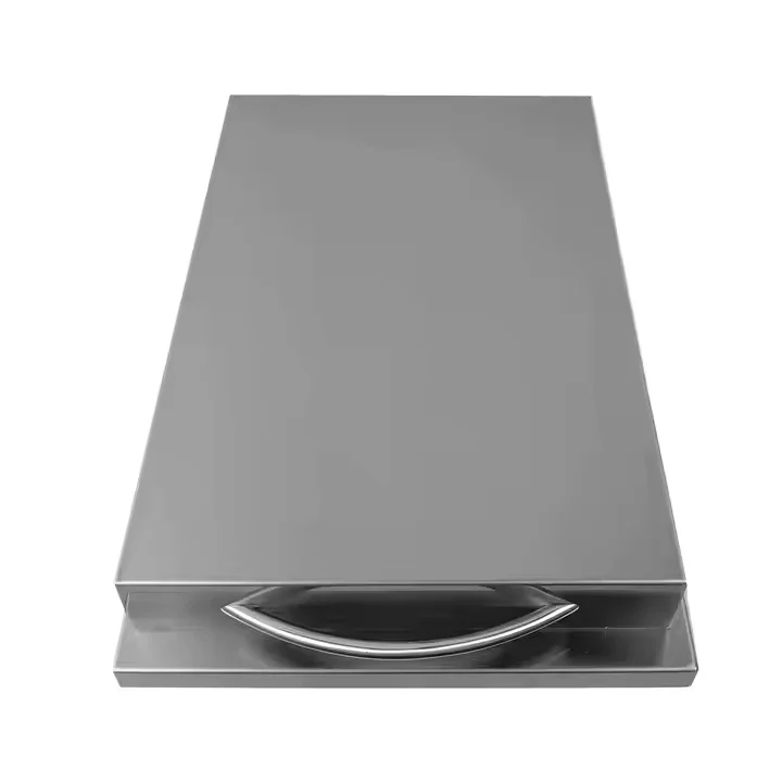 Modern Advanced Embedded Side Burner Gas Grill Grill Cover Commercial Mechanical Timer Grill