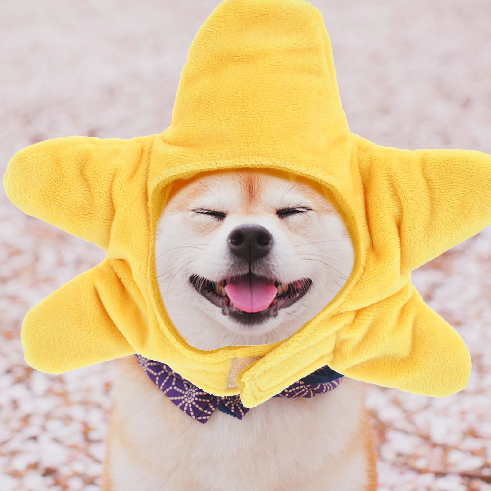 

Funny Pet Head Cap Dog Cat Christmas Party Dress Up Costume Creative Dog Cosplay Hat Cat Cosplay Hat Pet Dress Up