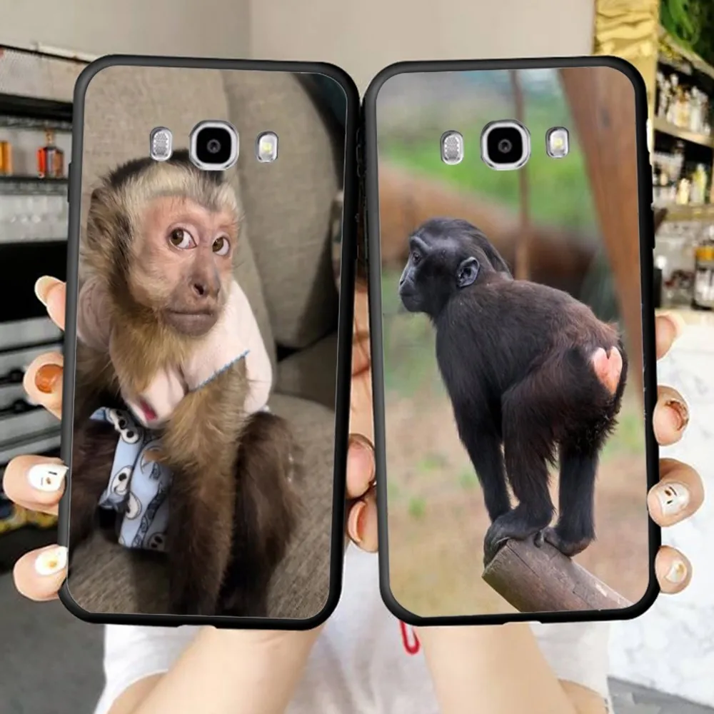 Monkey Sipping Caprisun Meme Phone Case For Samsung J 7 plus 7core J7 neo J6 plus prime J6 J4 J5 Mobile Cover