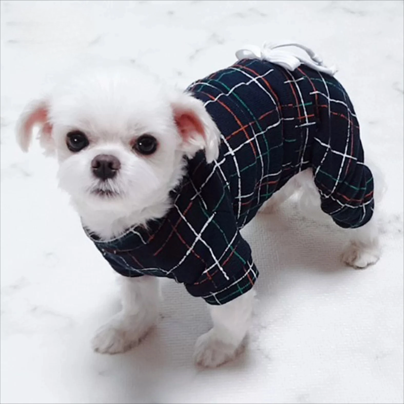 Pet Four Leg Jumpsuit, Vintage Plaid Drawstring Outfit, Spring Autumn Casual Clothes for Cats Dogs