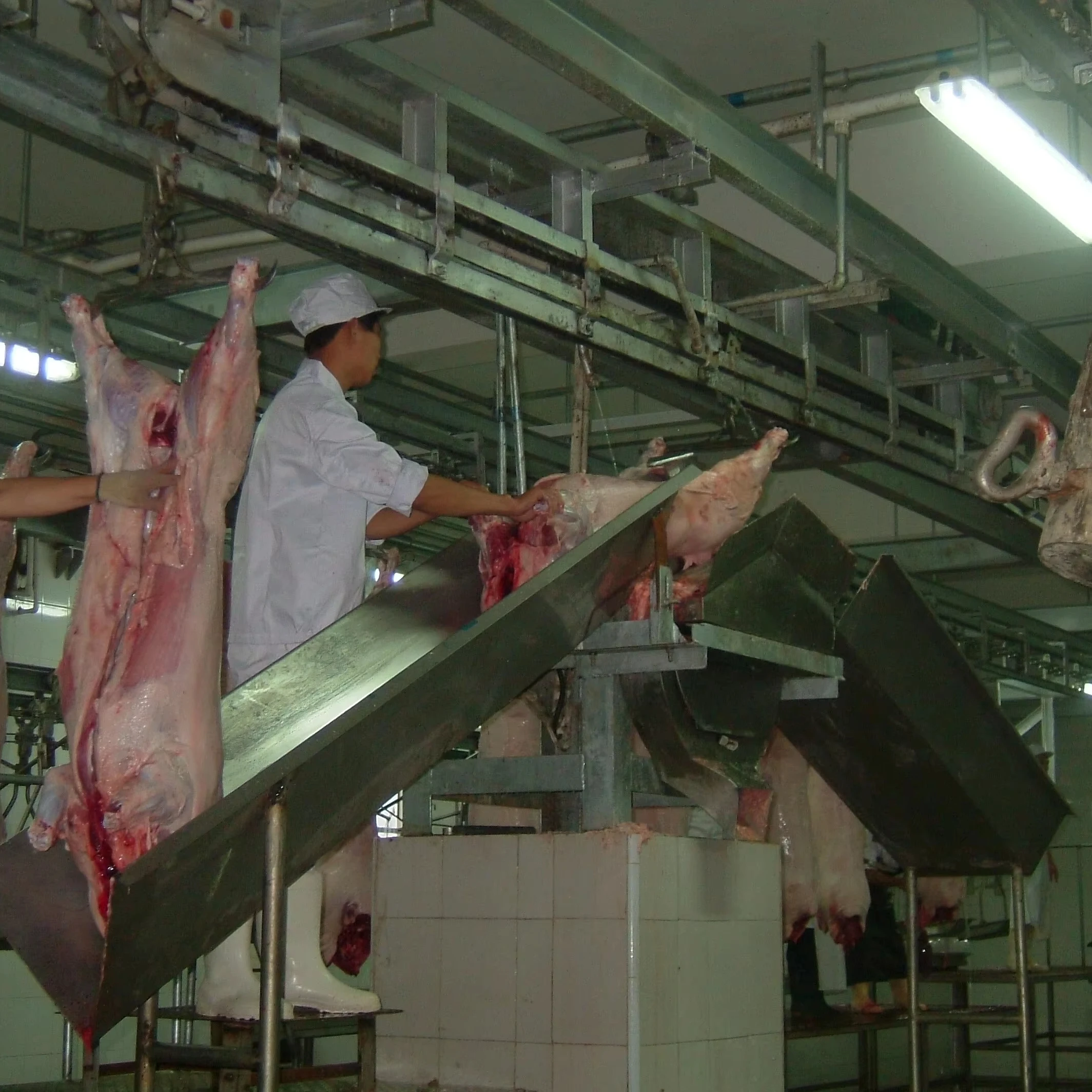 Meat Processing Plant Sow Slaughtering Slaughterhouse Production Line Pig Farm Gearbox Steel Butcher Gearbox Motor