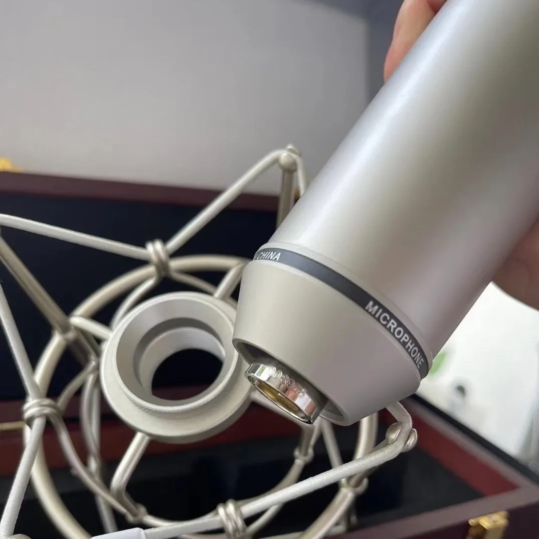Large diaphragm recording live broadcast capacitor wired microphone microphone
