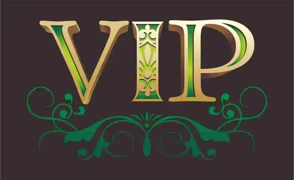 VIP special link for VIP customer 1000pcs 20x6mm sponge