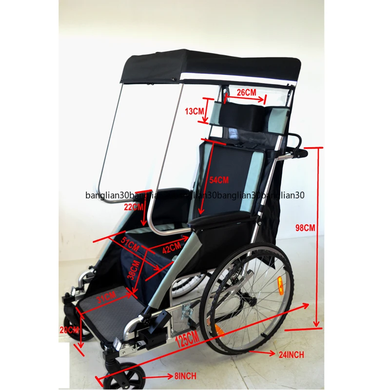 Bike Trailer For Children Adults Jogger & Trailer, Stroller 3 In 1 With 20 Inch Wheels Adult Carrier