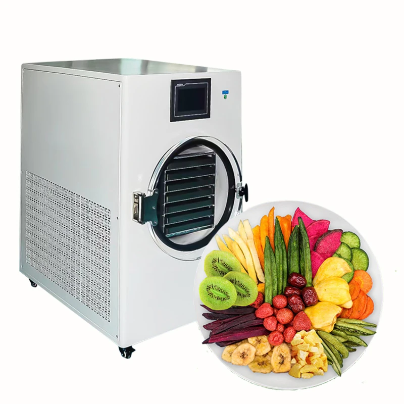 Liofilizador Hine para secagem de alimentos para uso doméstico pequeno - e liofilizador com bomba de vácuo