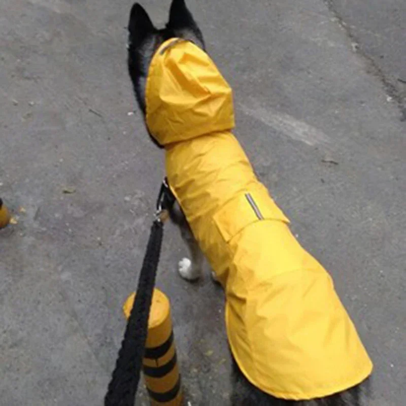 Thumbnail 2 - #2 Compare Pet Rain Jackets Before You Buy
