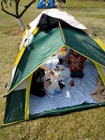 Fully Automatic Camping Tent Instant Quick Opening Pop Up Windproof Sunscreen UV Proof Ultraviolet Protection For 3-4 Person