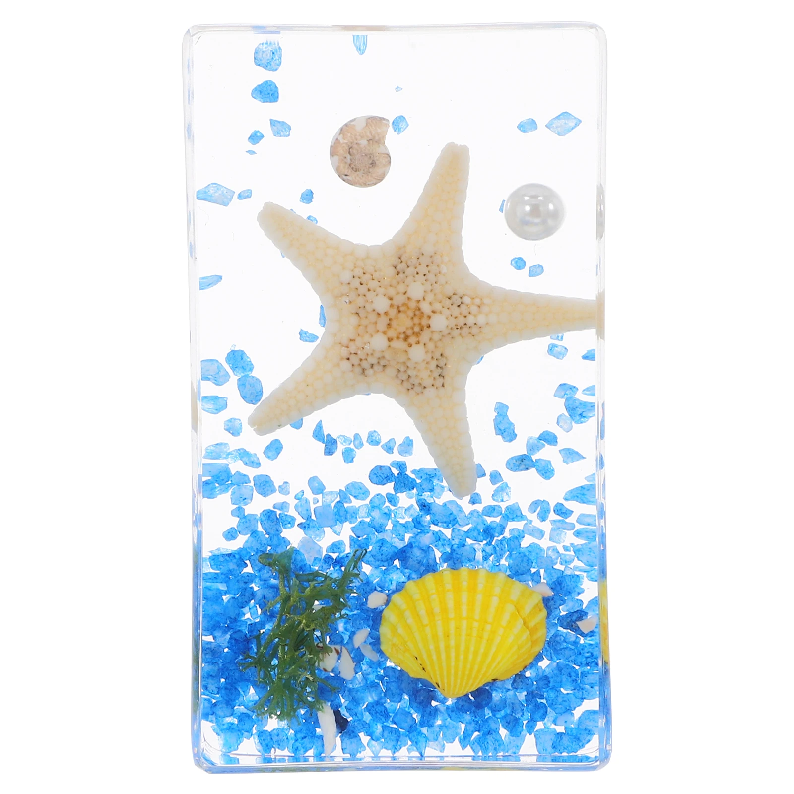 

Sea Star Specimen Resin Paperweight Collection Educational Scientific Displays Decorative Ocean Life