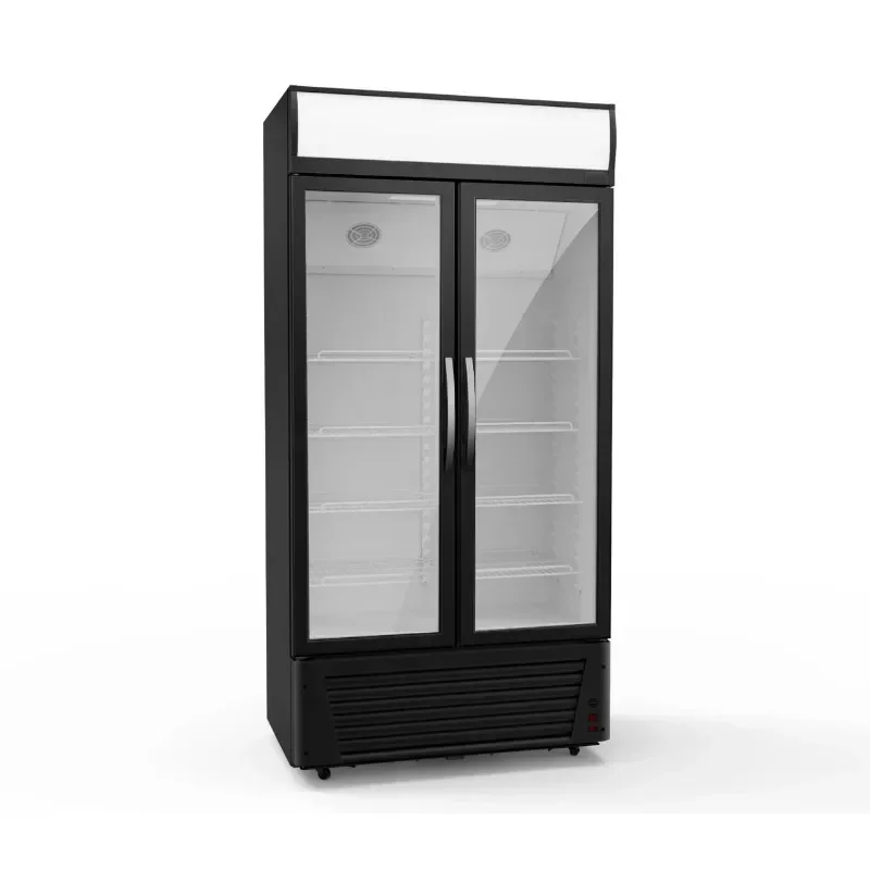 Showcase Display Freezer & Fridge with Premium Features