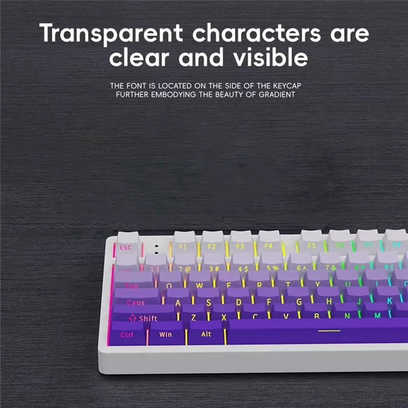 A42Z-136 Keys OEM-Profile PBT Keycaps Gradient Translucent Side Engraved Key Caps For Gaming Mechanical Keyboard