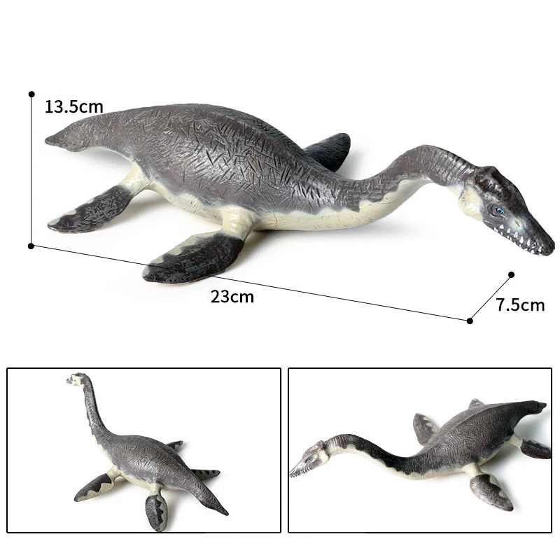 Figurines de baleine de la vie marine Montessori, requin d'Auckland, cachalot d'océan, modèles d'animaux, jouet de marteau, cadeau, 2023